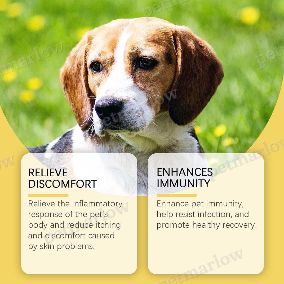 Herbal Yeast Supplement for Pet Skin Care – view 5
