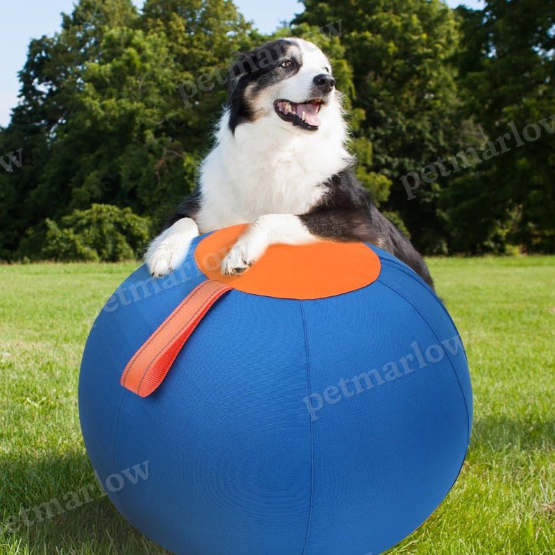 Herding Ball with Hand Pump For Dogs Interactive Dog Toys – view 2