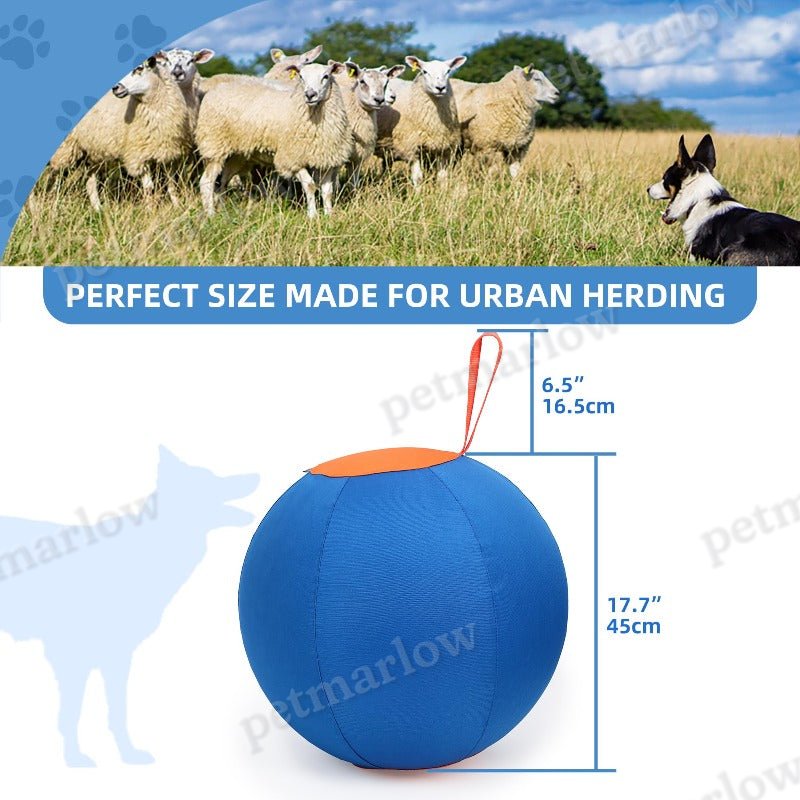 Herding Ball with Hand Pump For Dogs Interactive Dog Toys – view 4