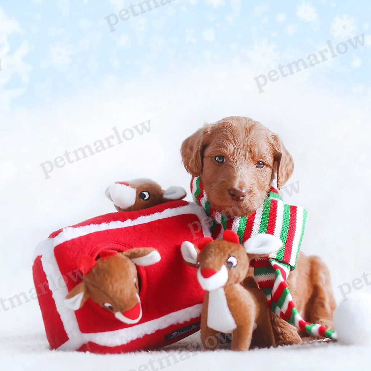 Hide and Seek Dog Toys and Puppy Toys – view 2
