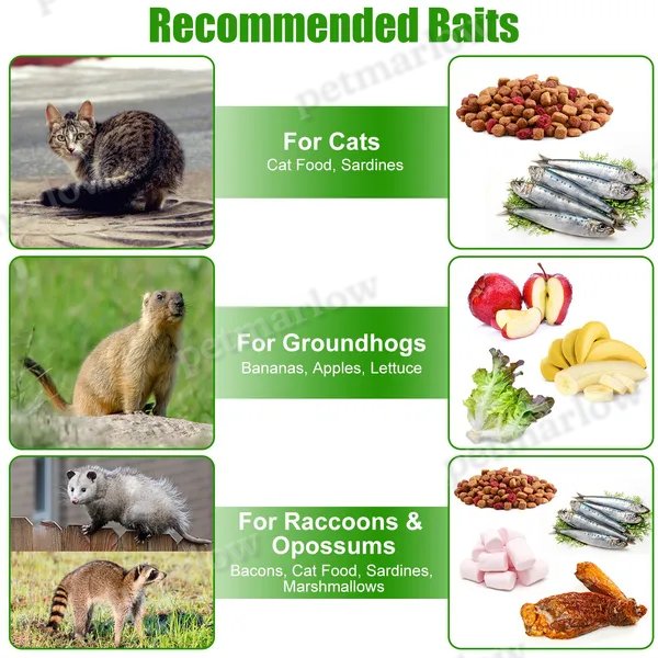 Humane Cat Trap Cage for Safe Animal Capture – view 6