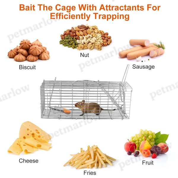 Humane Foldable Rat Trap Cage for Rodent Control – view 4