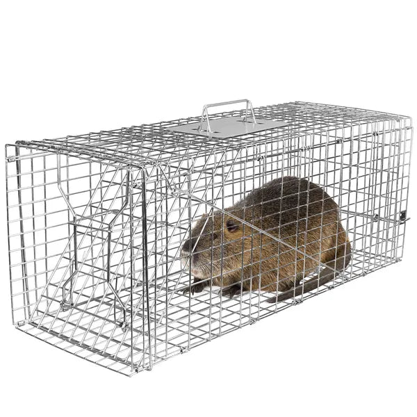 Humane Live Cat Trap Cage for Safe Animal Capture