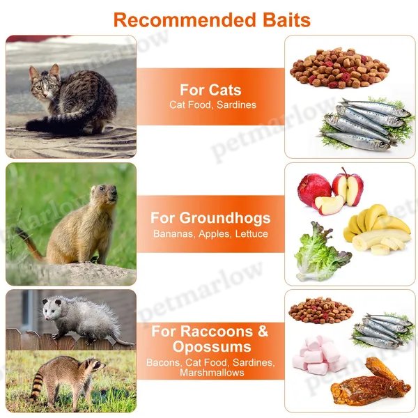 Humane Live Cat Trap Cage for Safe Animal Capture – view 5