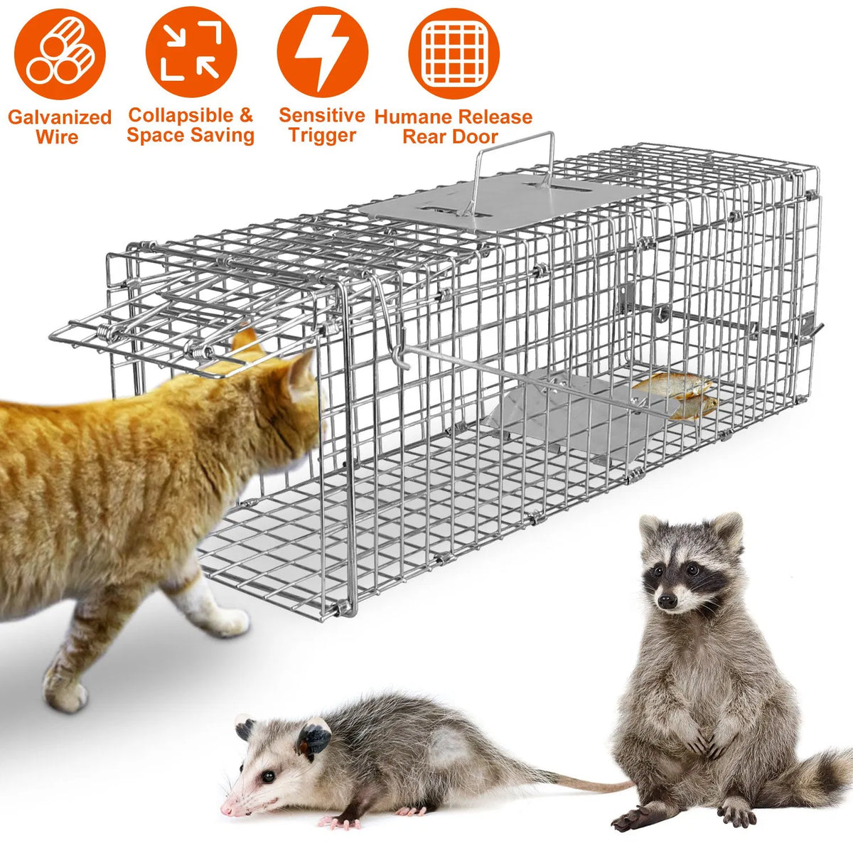 Humane Live Cat Trap Cage for Small Animals