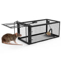 Humane Live Rodent Trap Cage for Mice Control – 1Pcs