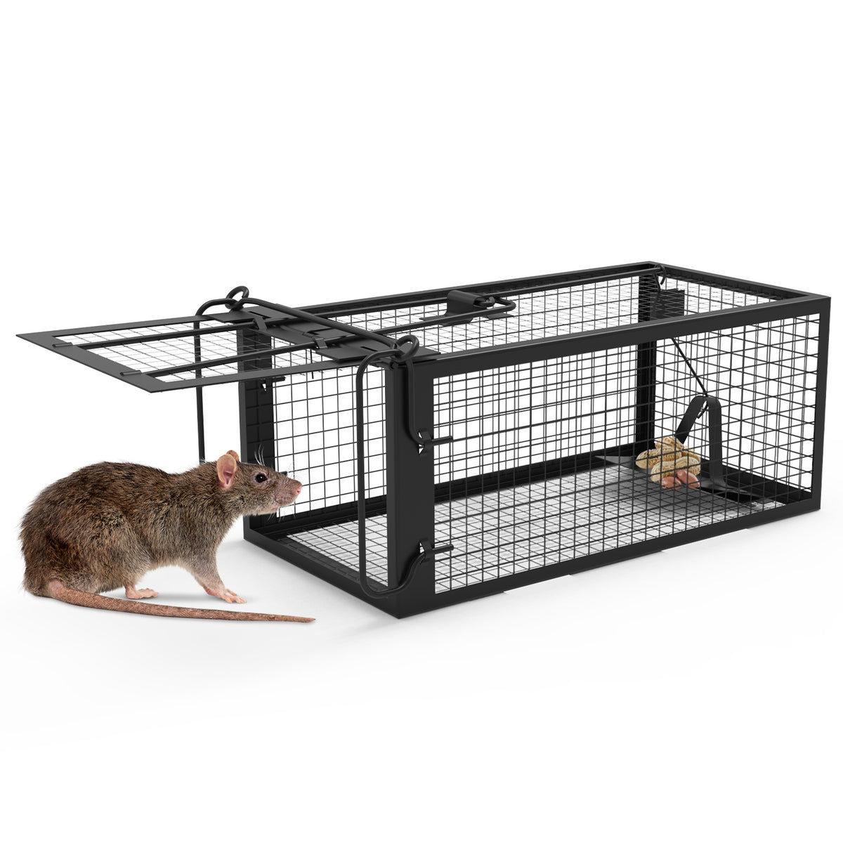 Humane Live Rodent Trap Cage for Mice Control – 1Pcs