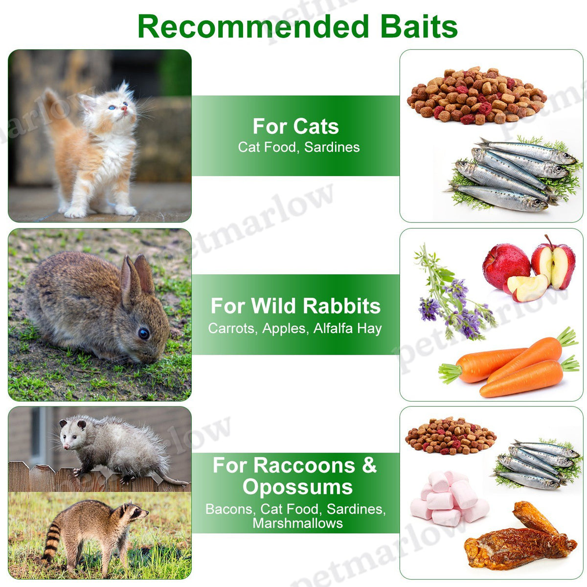 Humane Single Door Live Animal Trap for Small Pets – view 5