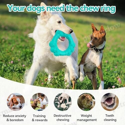 Indestructible Dog Chew Ring Toys for Aggressive Chewers – view 5