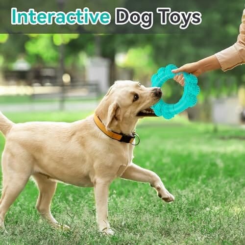 Indestructible Dog Chew Ring Toys for Aggressive Chewers – view 7