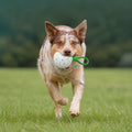 Indestructible Squeaky Dog Ball – Bite-Resistant Interactive Tug & Fetch Toy – Small  (8cm)