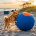 Inflatable Bite Resistant Herding Ball for Dogs – Durable Interactive Push & Chase Toy – Blue / 25cm