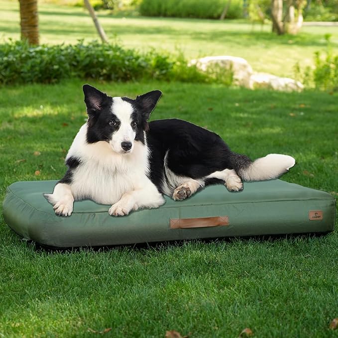 Inflatable Waterproof Dog Bed for Indoor and Outdoor Use