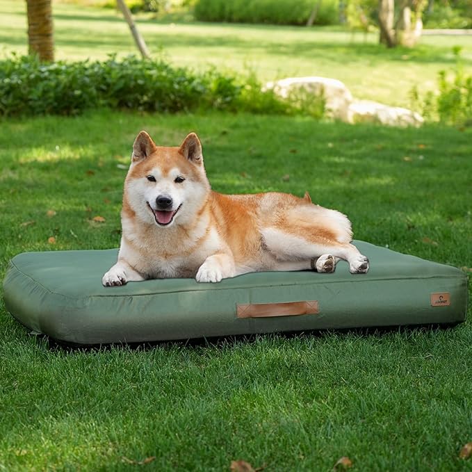 Inflatable Waterproof Dog Bed for Indoor and Outdoor Use