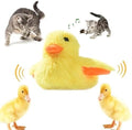 Interactive Cat Exercise Toys with Lifelike Quacking Sound