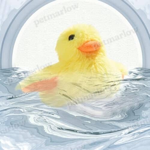 Interactive Cat Exercise Toys with Lifelike Quacking Sound – view 6