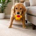 Interactive Chew & Squeak Puppy Toy – Heart Monster