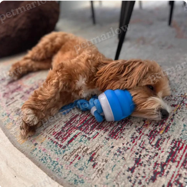 Interactive Chew Toy for Dogs – Movement Fun and Mental Stimulation – view 4