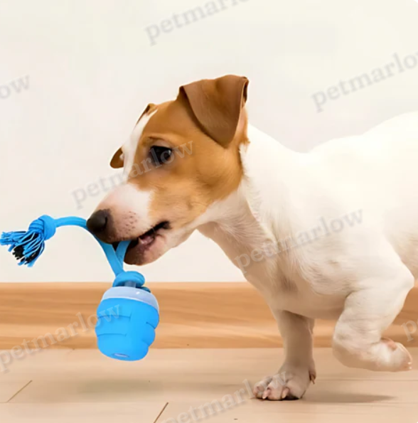 Interactive Chew Toy for Dogs – Movement Fun and Mental Stimulation – view 5