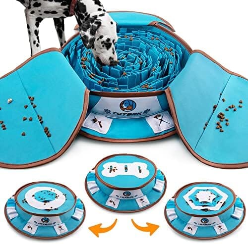 Interactive Dog Enrichment Games for Boredom Encourage Natural Foraging Skills