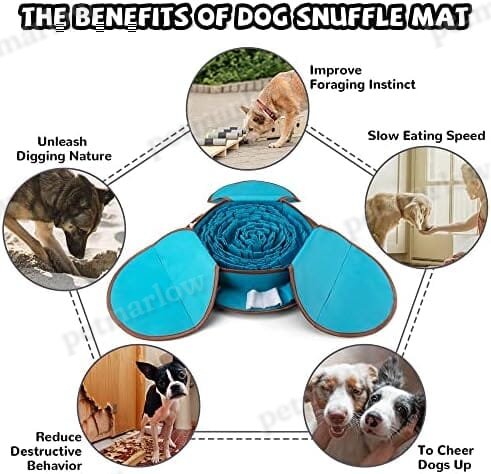 Interactive Dog Enrichment Games for Boredom Encourage Natural Foraging Skills – view 5