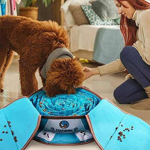 Interactive Dog Enrichment Games for Boredom Encourage Natural Foraging Skills – view 7