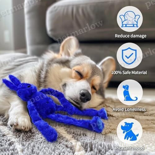 Interactive Dog Toy with Crinkle and Squeaky – view 4