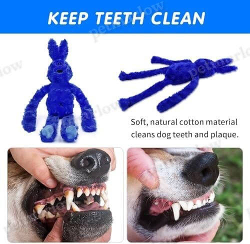 Interactive Dog Toy with Crinkle and Squeaky – view 5