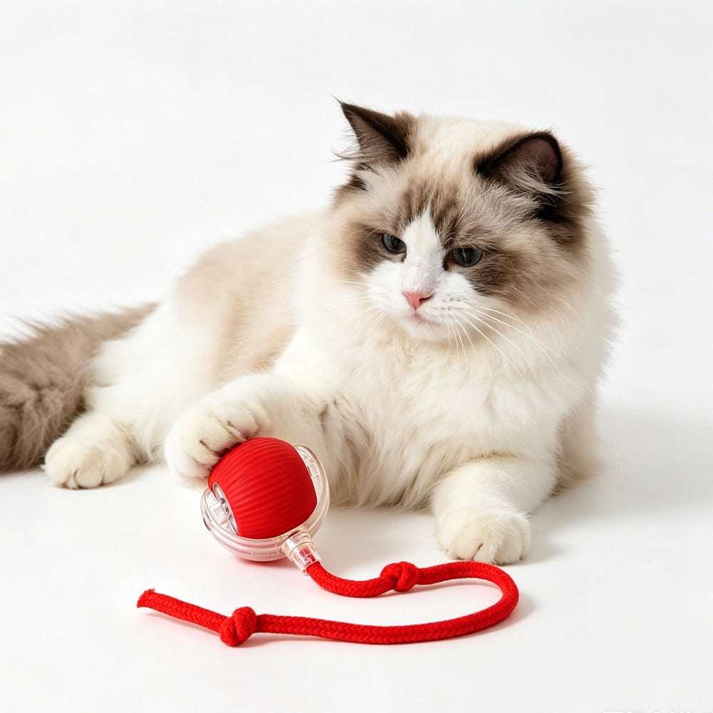 Interactive Electric Pet Ball Toy for Dogs and Cats