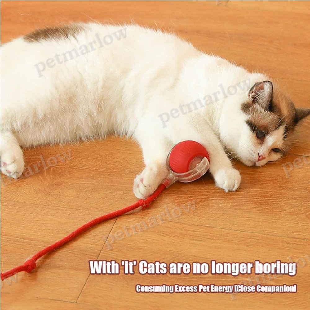 Interactive Electric Pet Ball Toy for Dogs and Cats – view 5