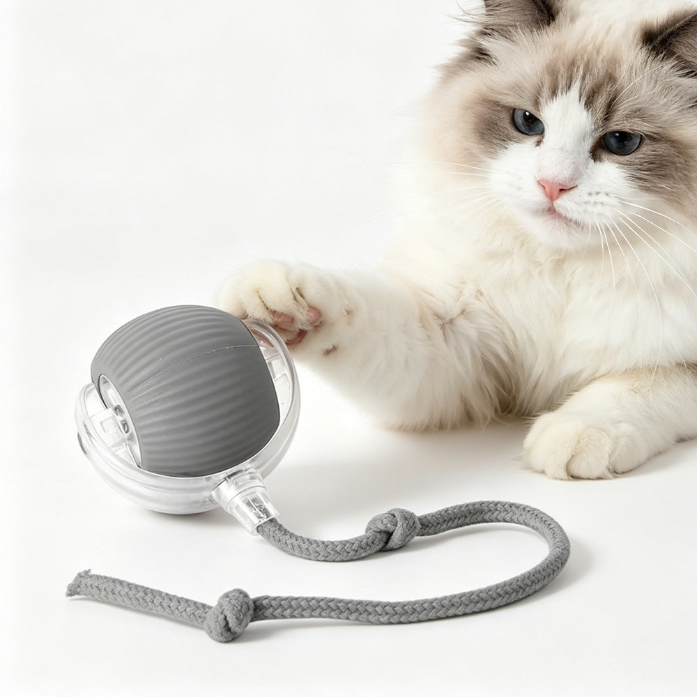 Interactive Electric Rolling Ball Toy for Dogs and Cats