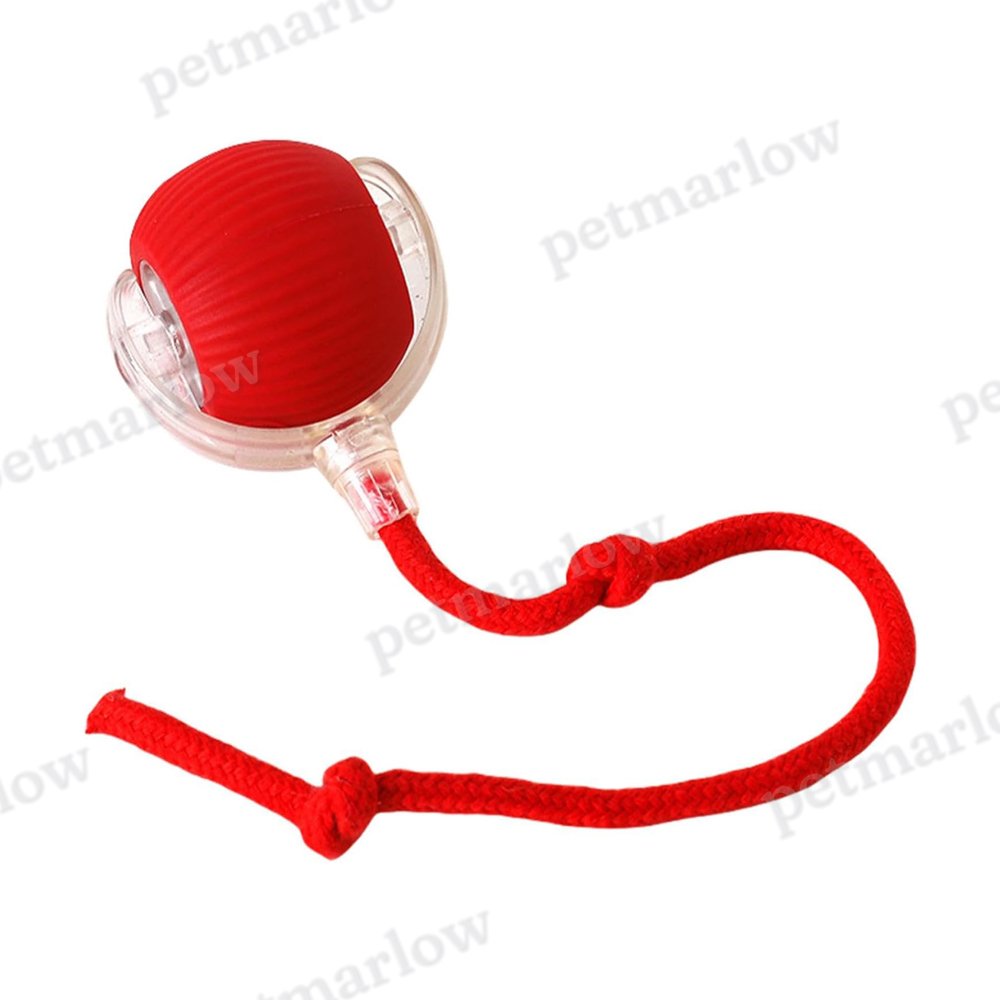 Interactive Electric Rolling Ball Toy for Dogs and Cats – view 4