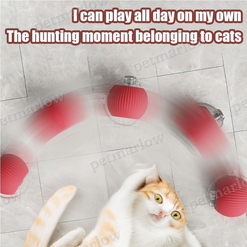Interactive Electric Rolling Ball Toy for Dogs and Cats – view 5