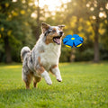 Interactive Flying Fetch Dog Ball