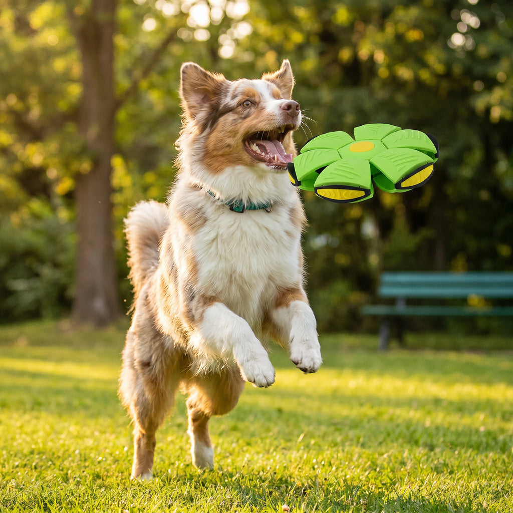 Interactive Flying Fetch Dog Ball – view 2