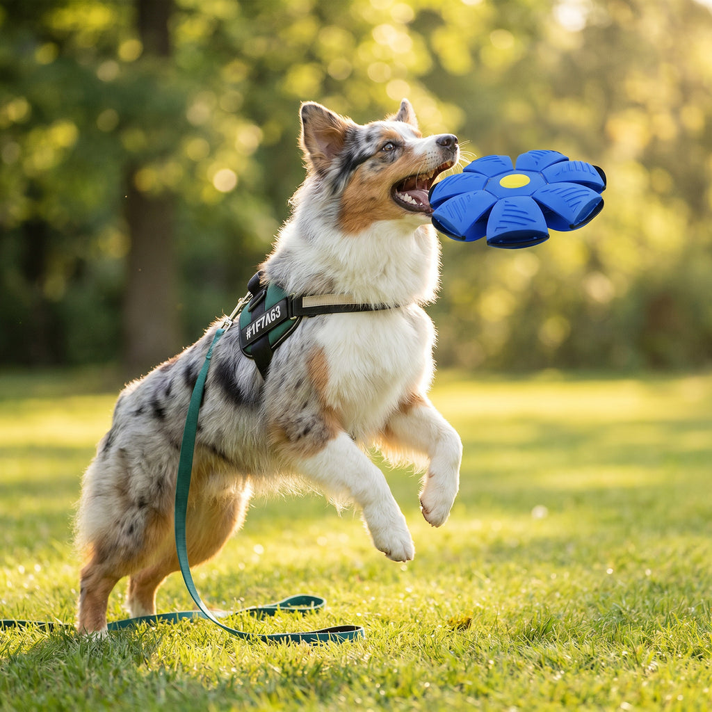 Interactive Flying Fetch Dog Ball – view 5