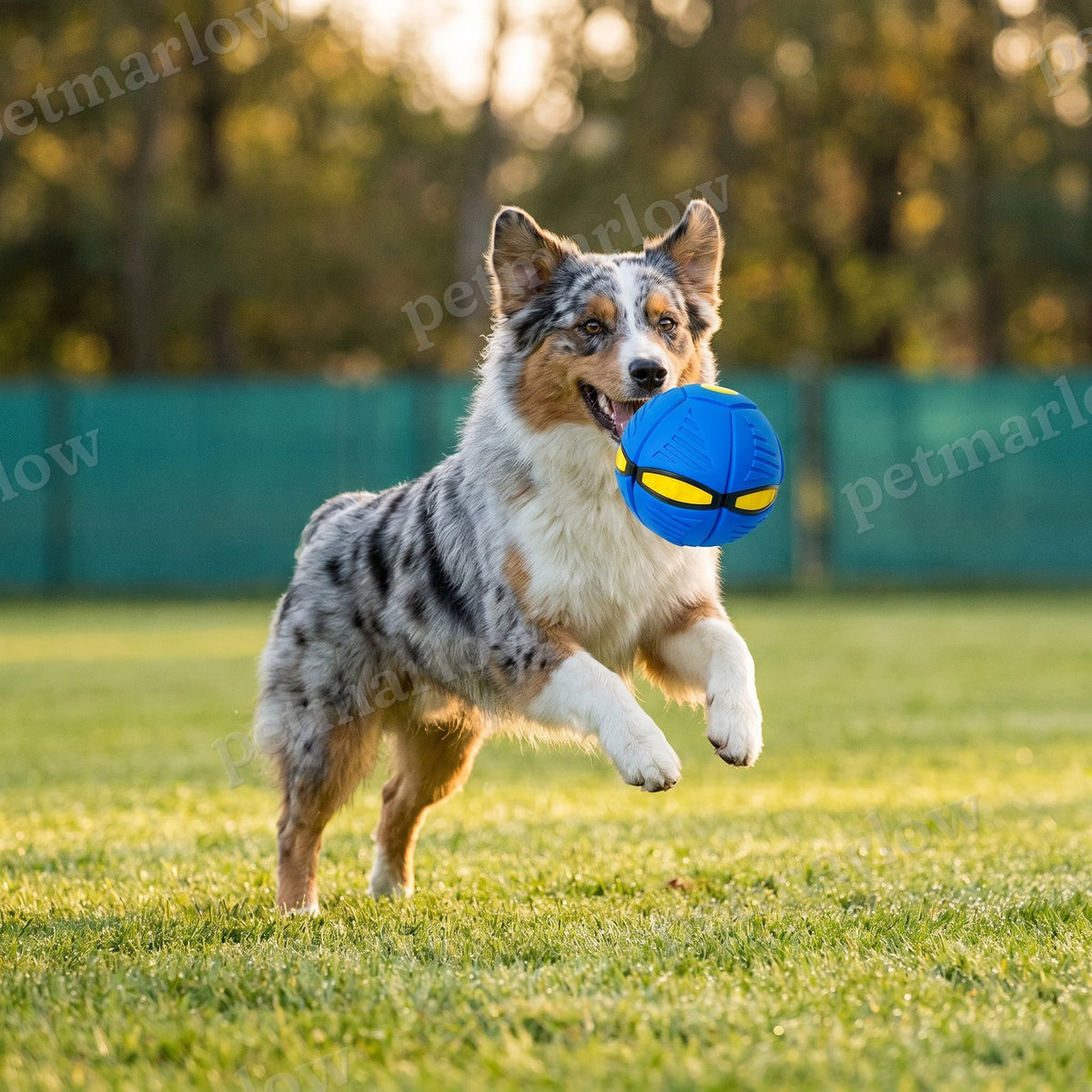 Interactive Flying Fetch Dog Ball – view 6