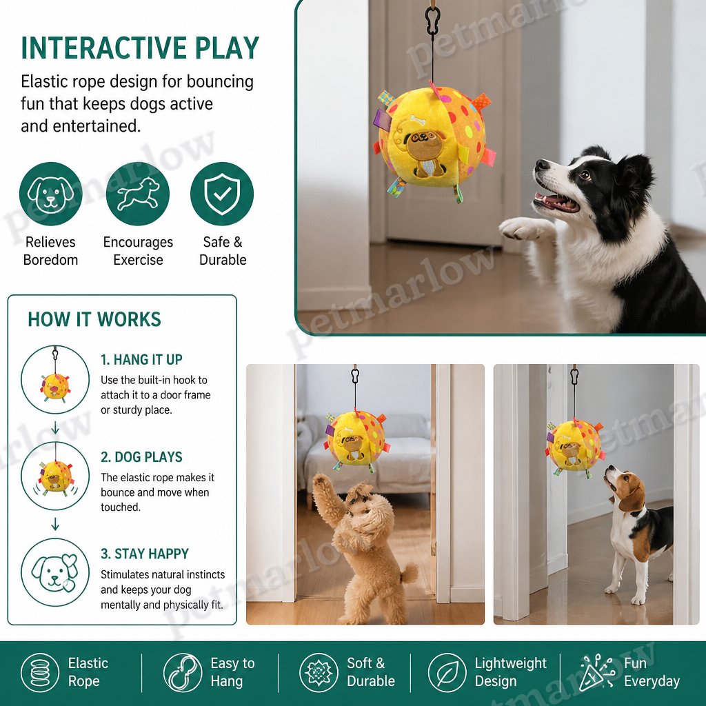 Interactive Hanging Dog Ball Toy with Elastic Play Rope & Hook – view 2
