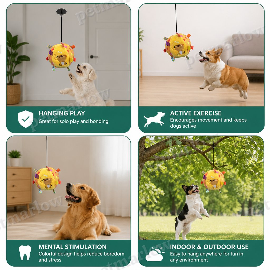Interactive Hanging Dog Ball Toy with Elastic Play Rope & Hook – view 3