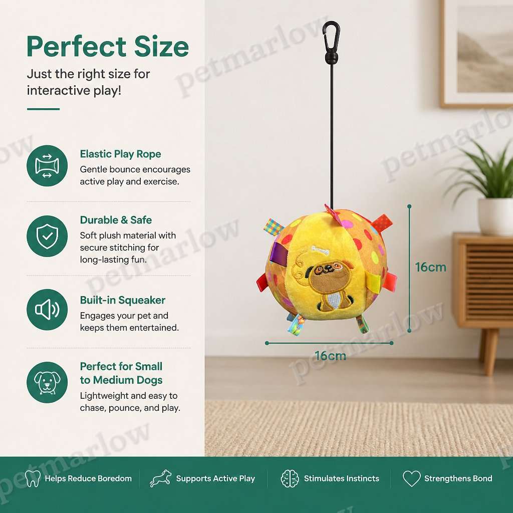 Interactive Hanging Dog Ball Toy with Elastic Play Rope & Hook – view 5