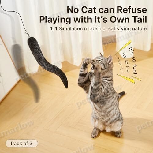 Interactive Indoor Kitten Kicker for Kitty Exercise 9.8 Inches – view 2