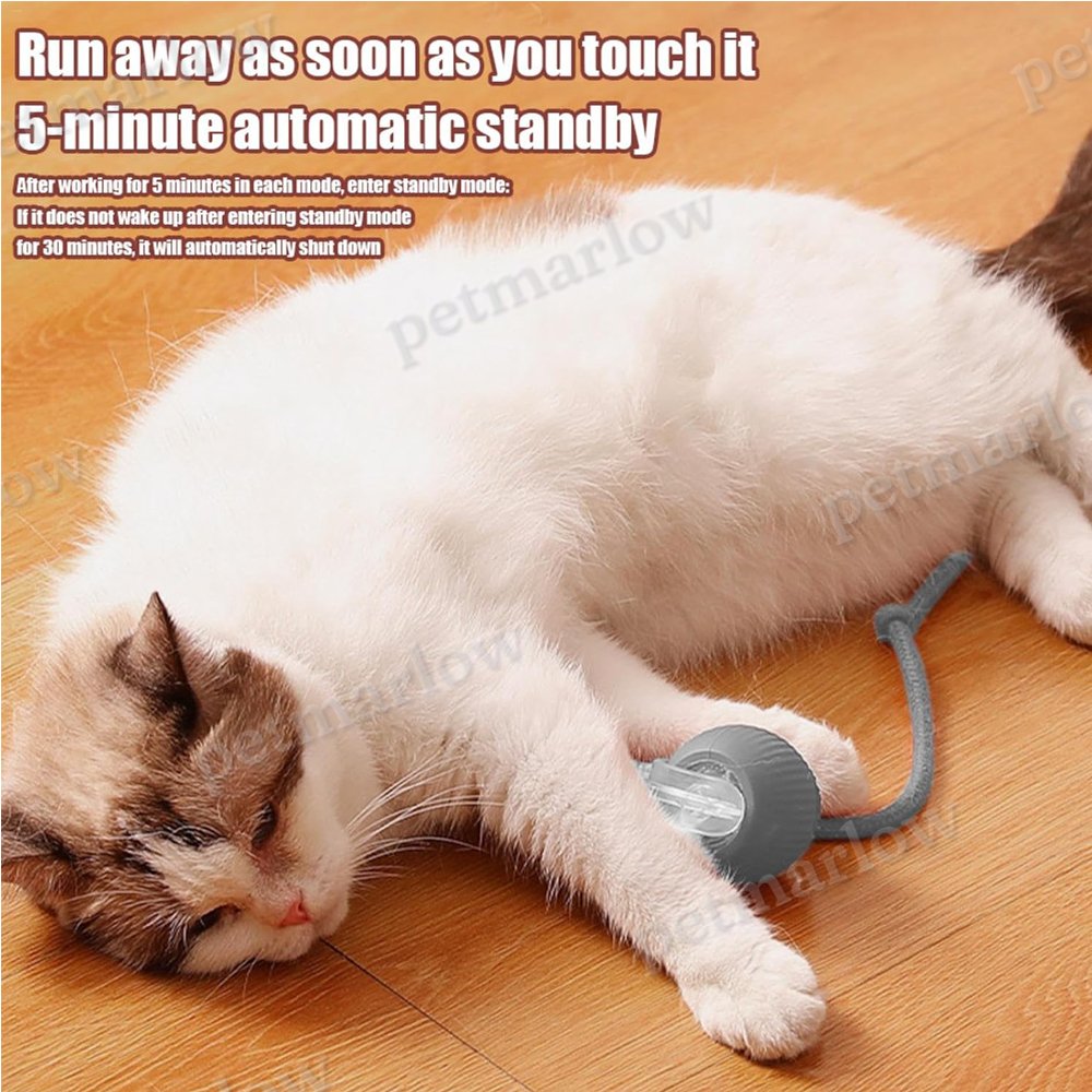 Interactive Rolling Cat Ball – view 5