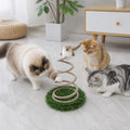 Interactive Spring Bird Cat Toy with Grass Base