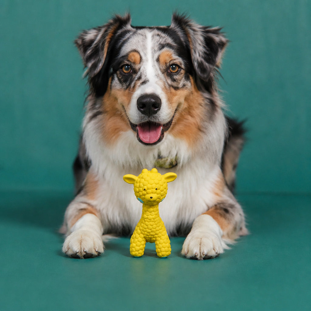 Interactive Squeaky Giraffe Toy for Dogs – Yellow Deer