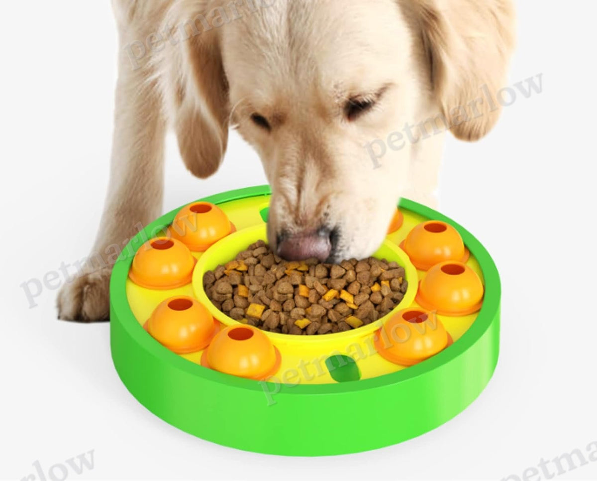 IQ Puzzle Slow Feeder – view 5