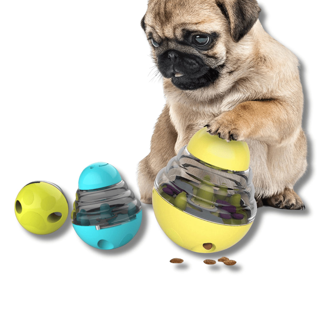 IQ Treat Toy