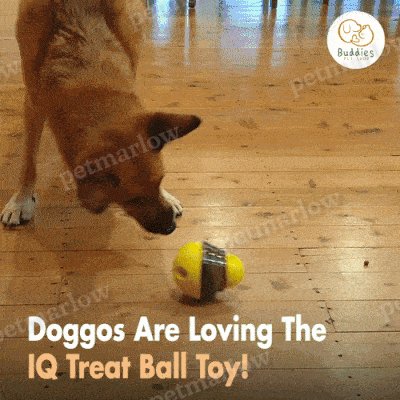IQ Treat Toy – view 6