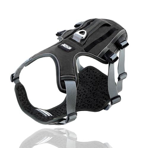 K9 Harness – Black / S