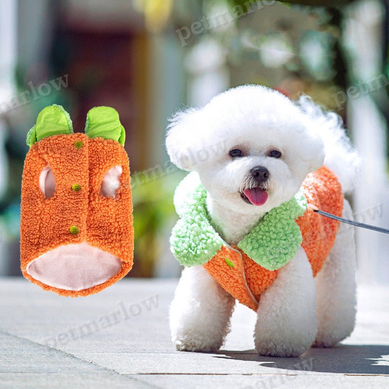Korean Style Lotus Leaf Lace Warm Pet Clothes – view 4