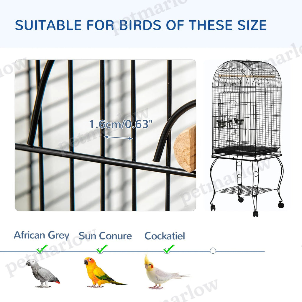 Large Bird Cage with Openable Top for Cockatiels and Sun Conures – view 6